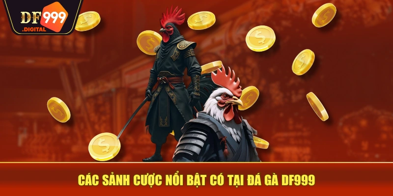 Các sảnh cược nổi bật có tại đá gà DF999 Các sảnh cược nổi bật có tại đá gà DF999