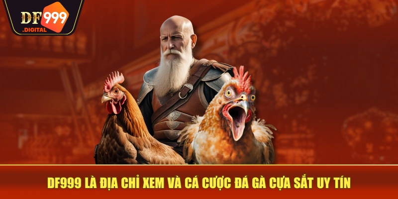 DF999 là địa chỉ xem và cá cược đá gà cựa sắt uy tín DF999 là địa chỉ xem và cá cược đá gà cựa sắt uy tín