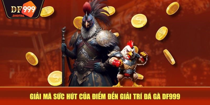 Giải mã sức hút của điểm đến giải trí đá gà DF999 Giải mã sức hút của điểm đến giải trí đá gà DF999