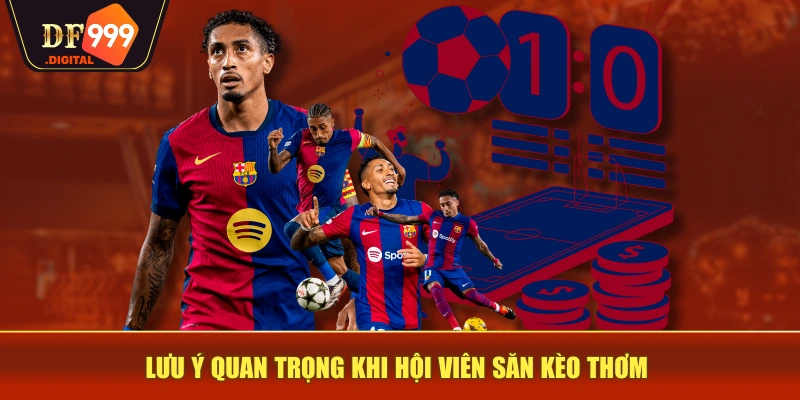 Lưu ý quan trọng khi hội viên săn kèo thơm Lưu ý quan trọng khi hội viên săn kèo thơm