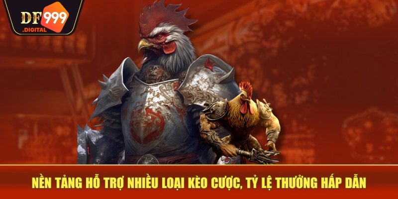 Nền tảng hỗ trợ nhiều loại kèo cược, tỷ lệ thưởng hấp dẫn Nền tảng hỗ trợ nhiều loại kèo cược, tỷ lệ thưởng hấp dẫn