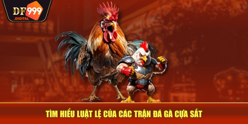 Tìm hiểu luật lệ của các trận đá gà cựa sắt Tìm hiểu luật lệ của các trận đá gà cựa sắt